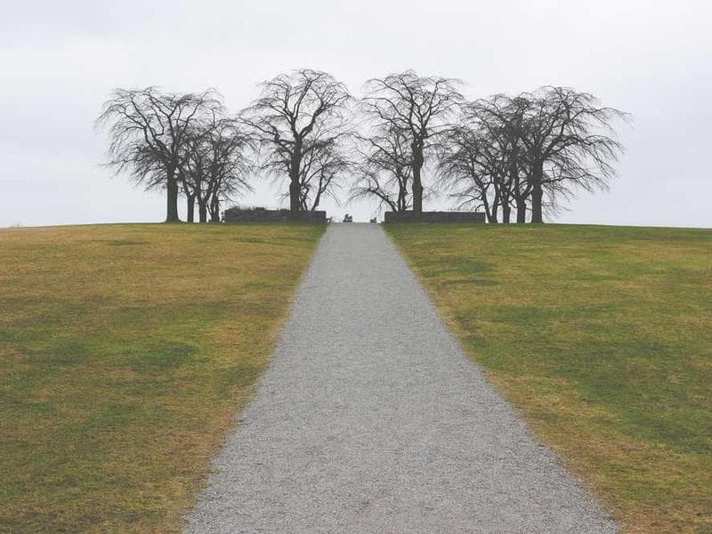 iPhone 14 Pro Max - 256GB Space Black 2