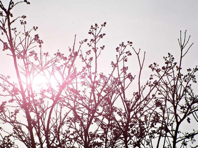 iPhone 14 Pro Max - 256GB Space Black 3